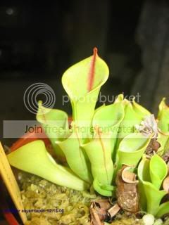 IMG_5971.jpg