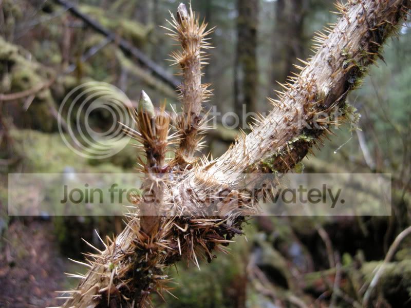 DSCN5928.jpg