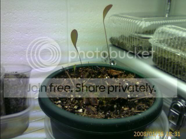 IMAGE_00105.jpg