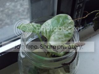DSCF9001.jpg