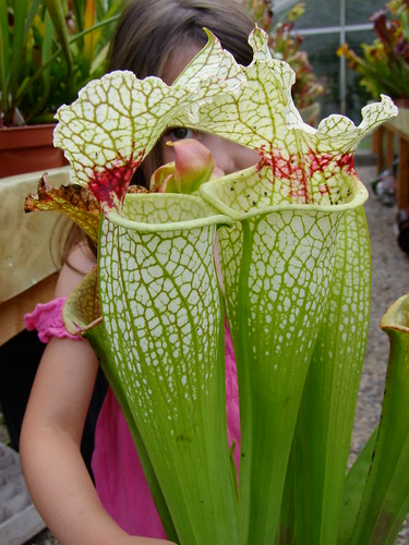 6073054770_0ee02fae39.jpg