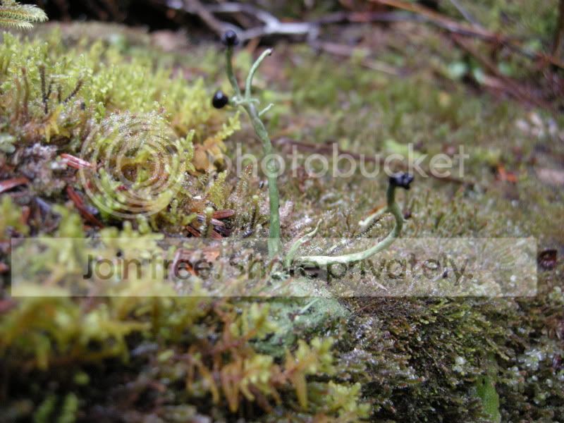 DSCN5931.jpg