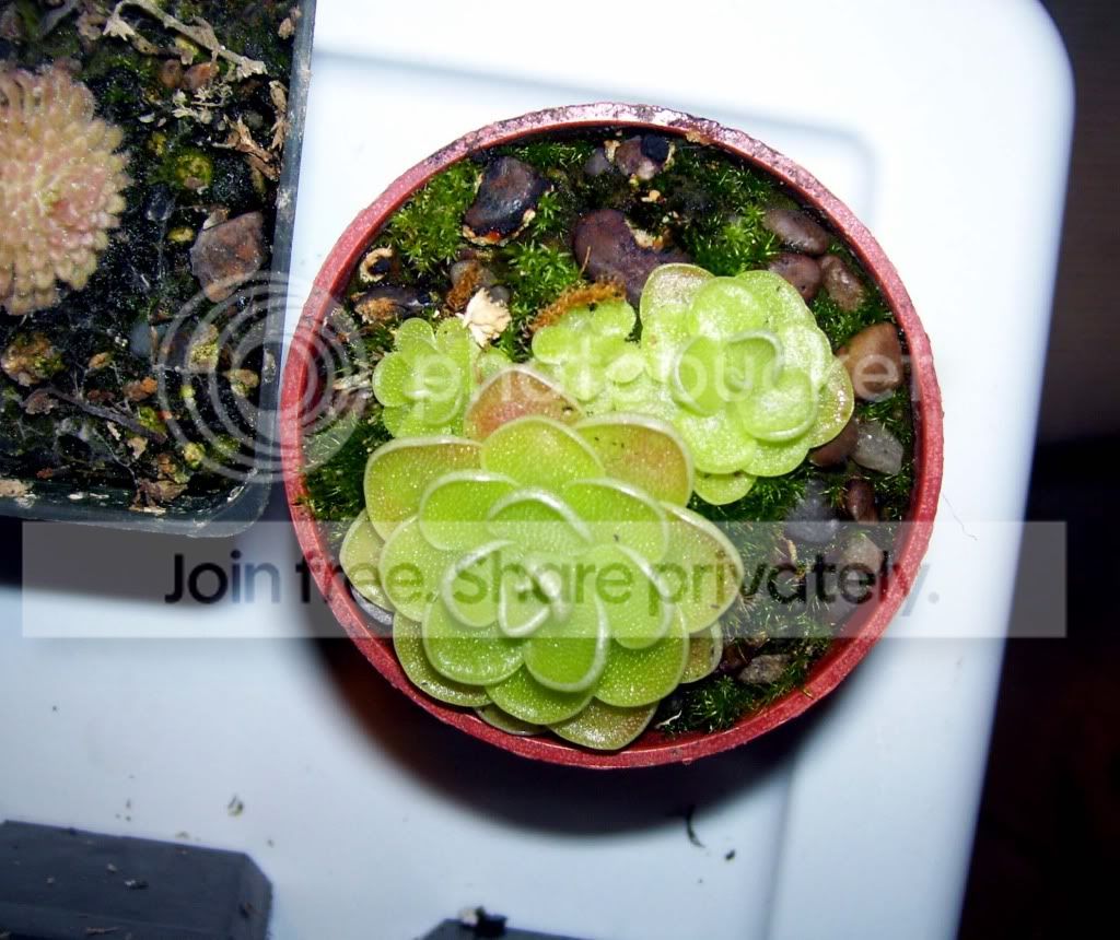 100_7223.jpg