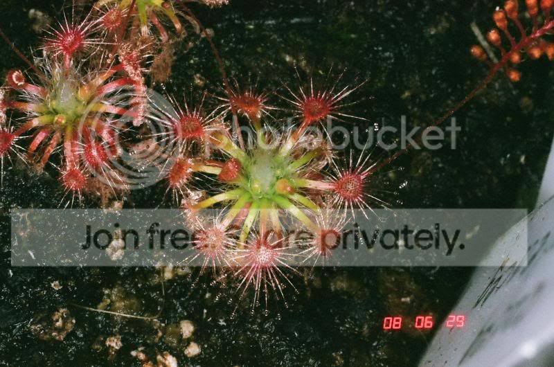 01370009.jpg