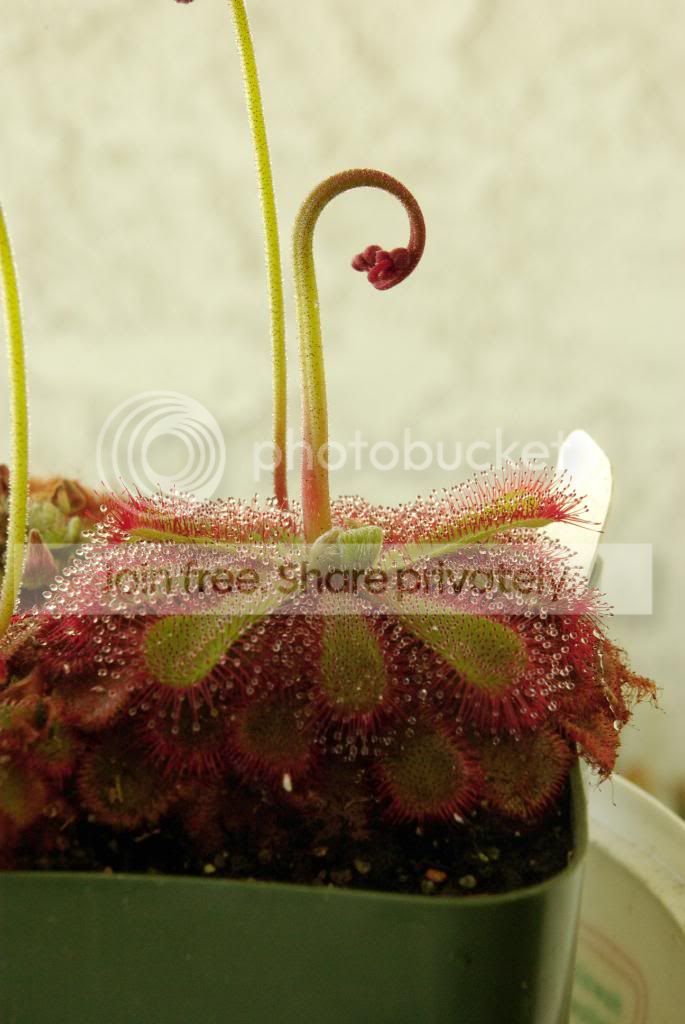 _IGP0761a.jpg