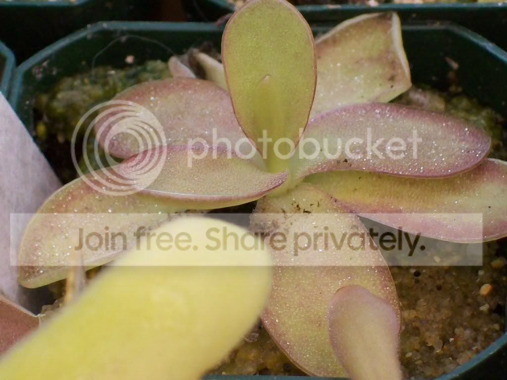 Picture008-14.jpg