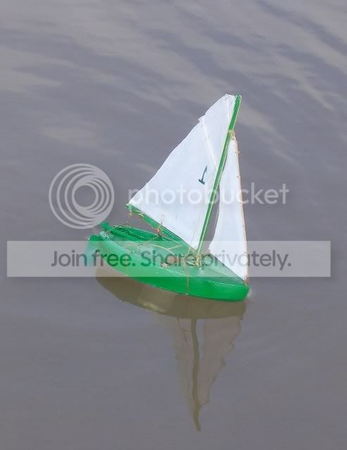 Frogbitbig.jpg