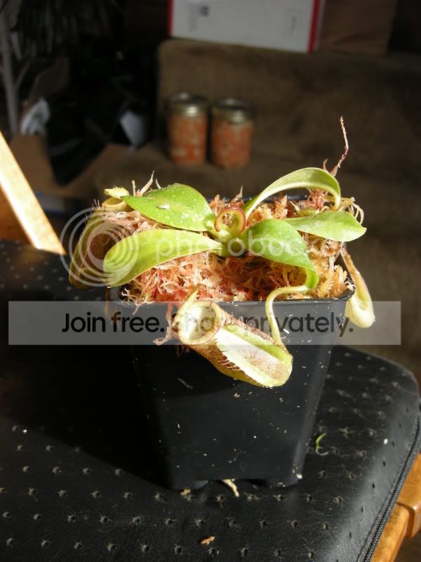 DSCN6368.jpg