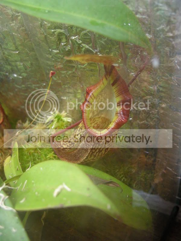 DSCN5858.jpg