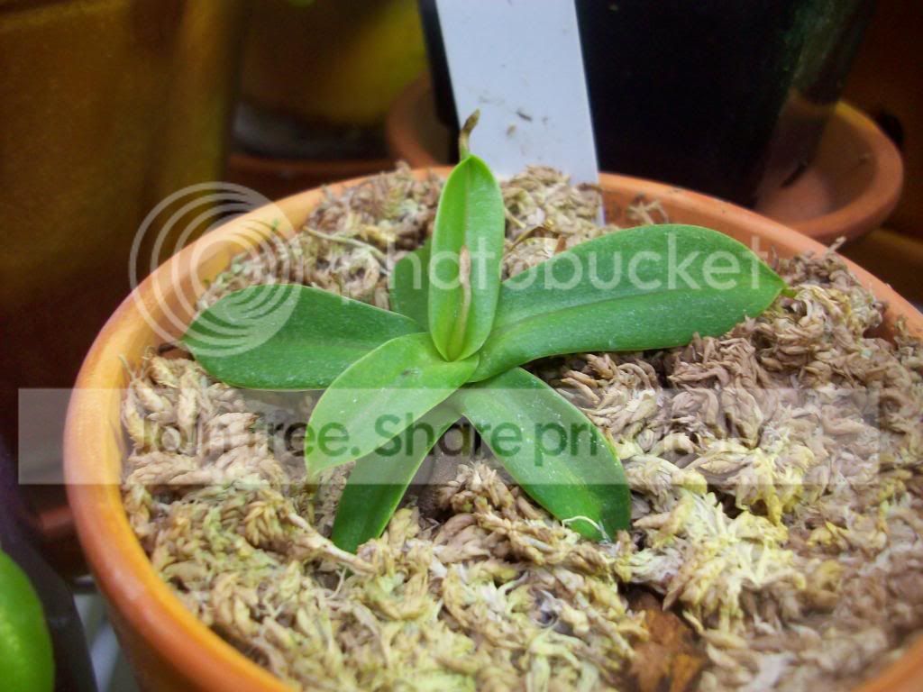 100_2873.jpg