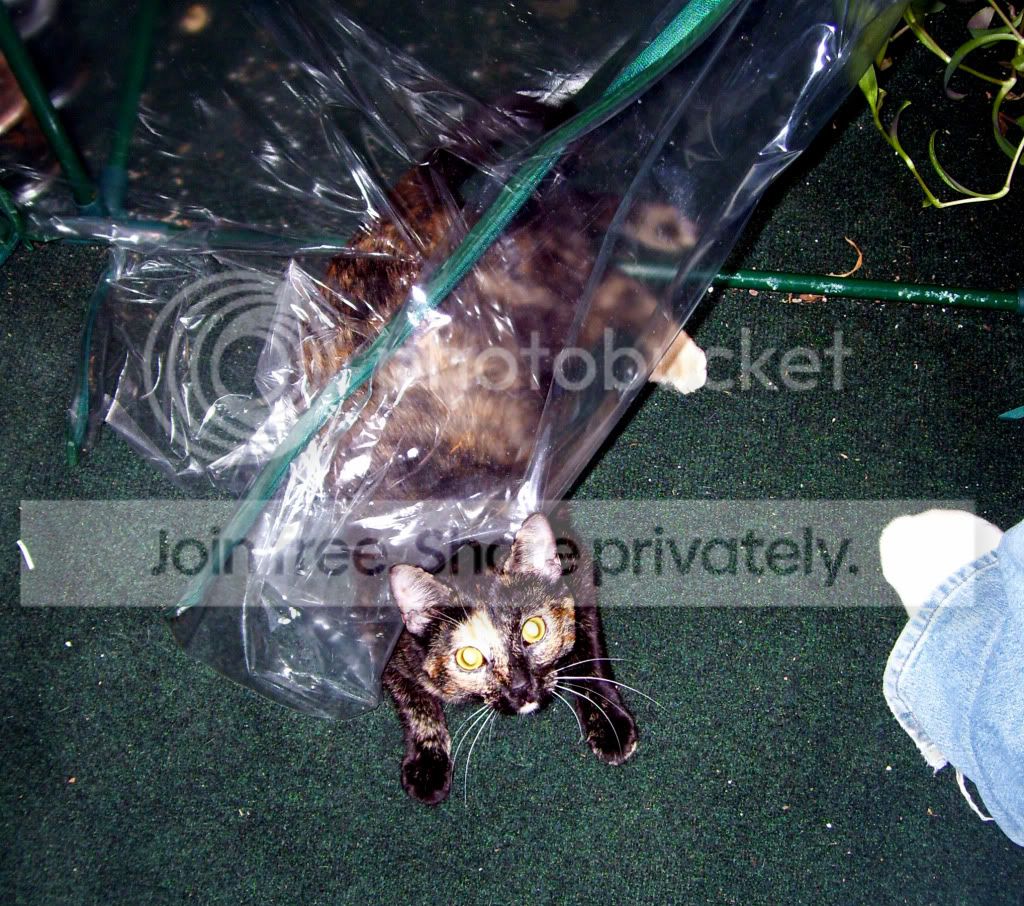 100_7869.jpg