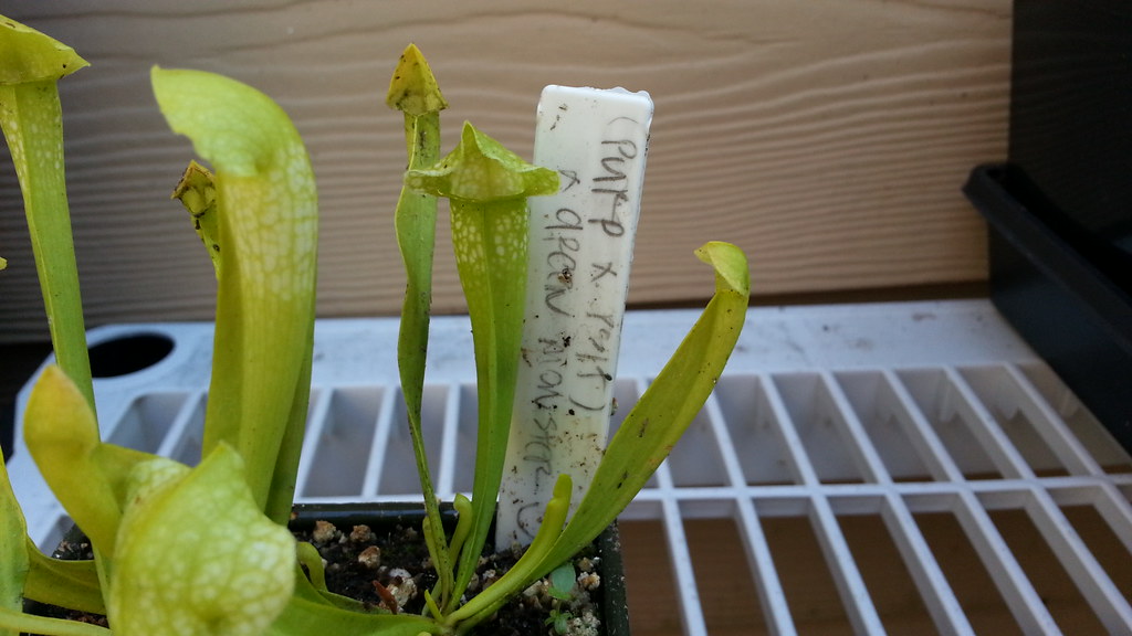 7993634148_1ba5b3fe31_b.jpg