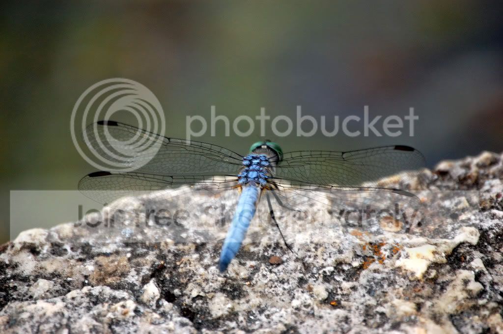 DSC_00130013_2.jpg