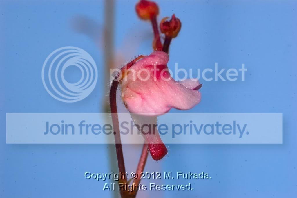 DSC_00240008_1_hf.jpg