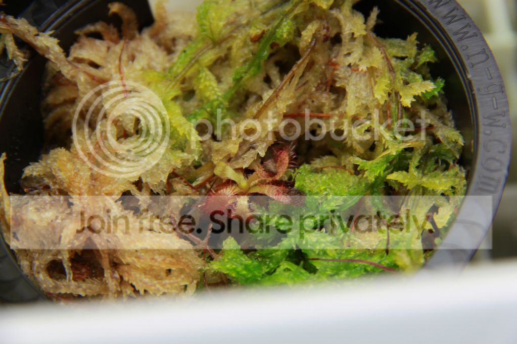 d8982ce05c3bb15bd289f8f6d3211b2c.jpg