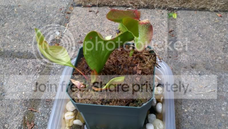 2011-06-05_18-18-40_383.jpg