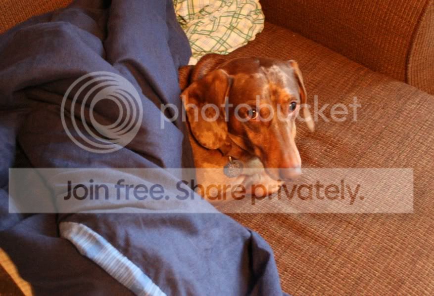 cooper.jpg