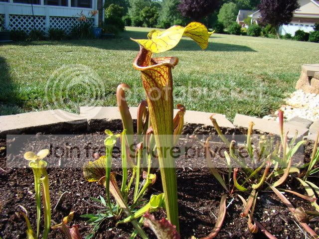 6-28-08023.jpg