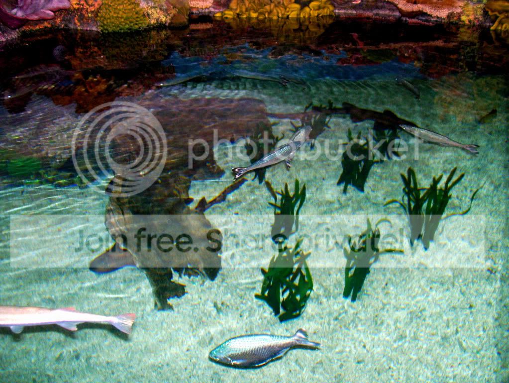 100_6135.jpg