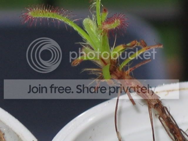 IMG_0022_1.jpg