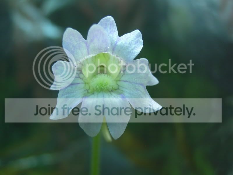 dscn2435.jpg
