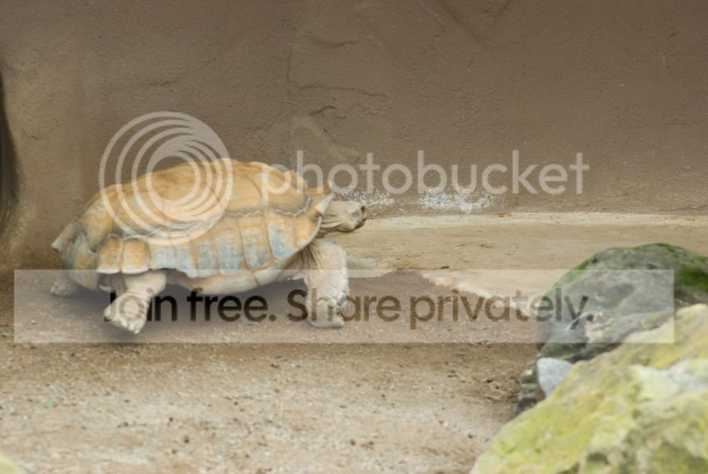 IMGP3333_zpssmeyxjje.jpg
