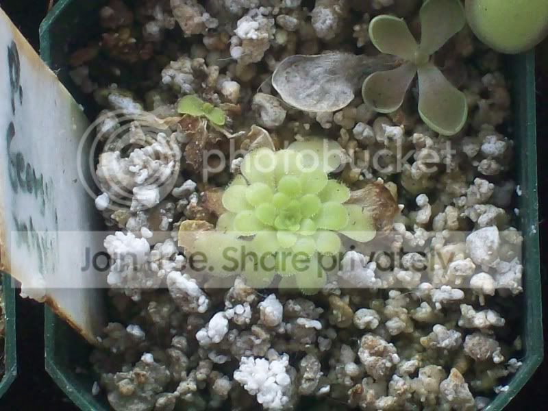 Picture043.jpg