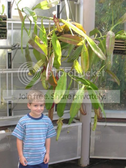 DSCN0372.jpg