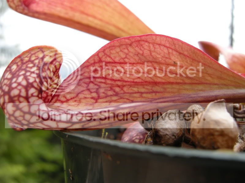 DSCN6039.jpg