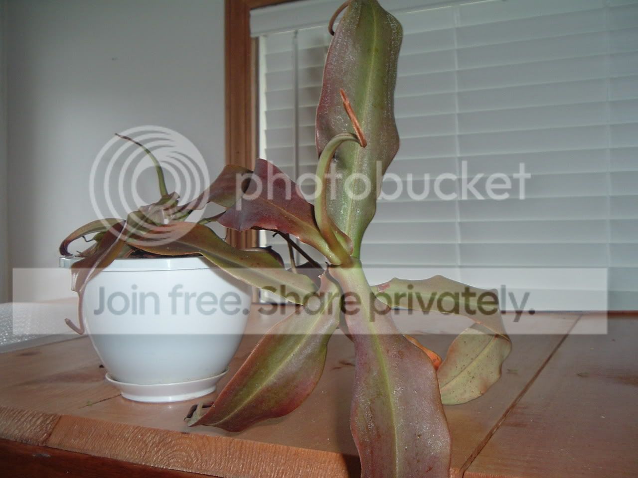 DSCF2699.jpg