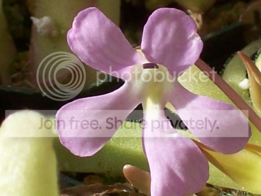 Picture001-9.jpg
