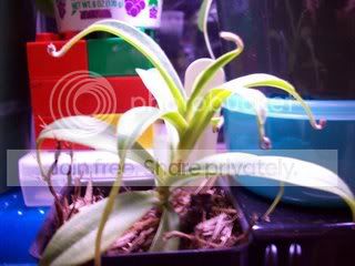 100_00291.jpg