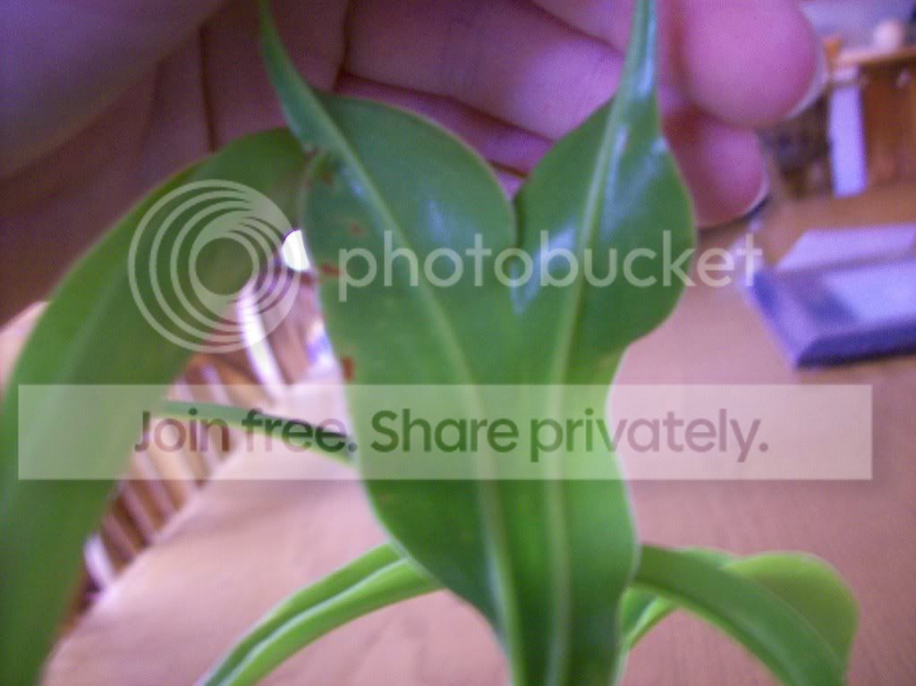 somepics172.jpg