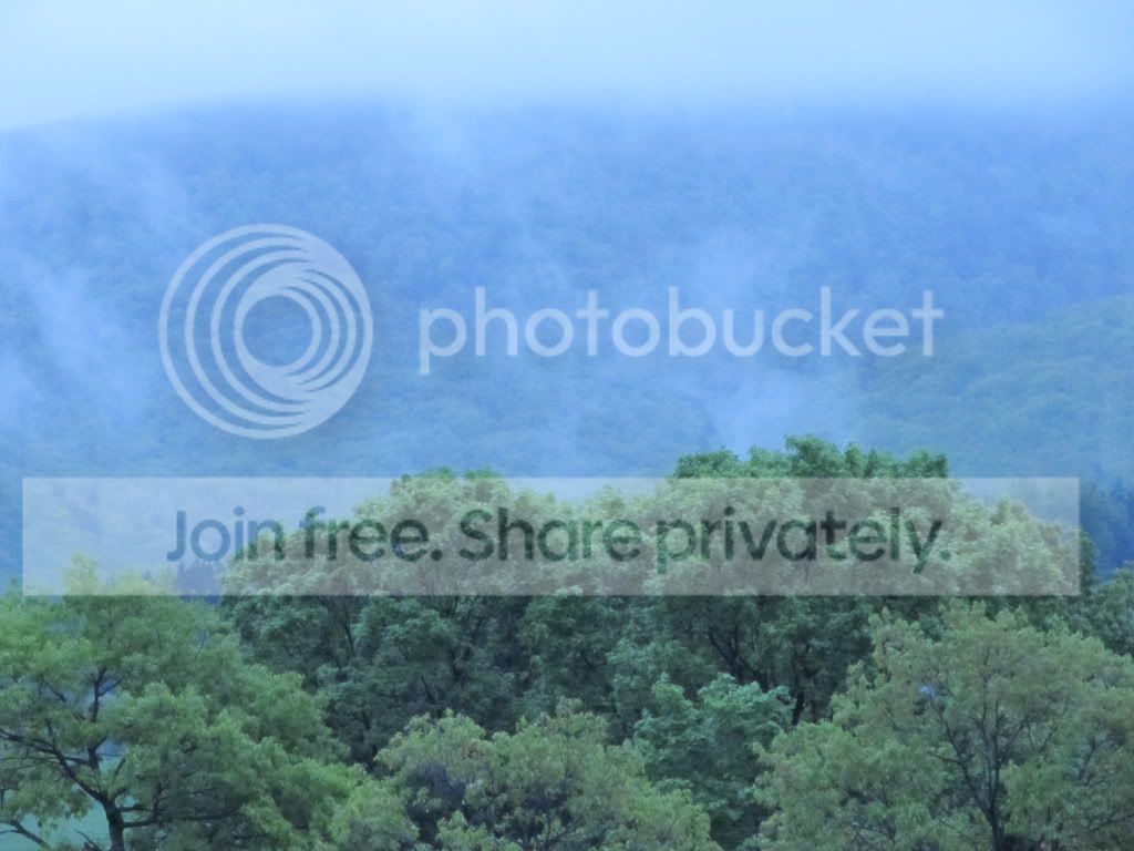 PJAS2011164.jpg