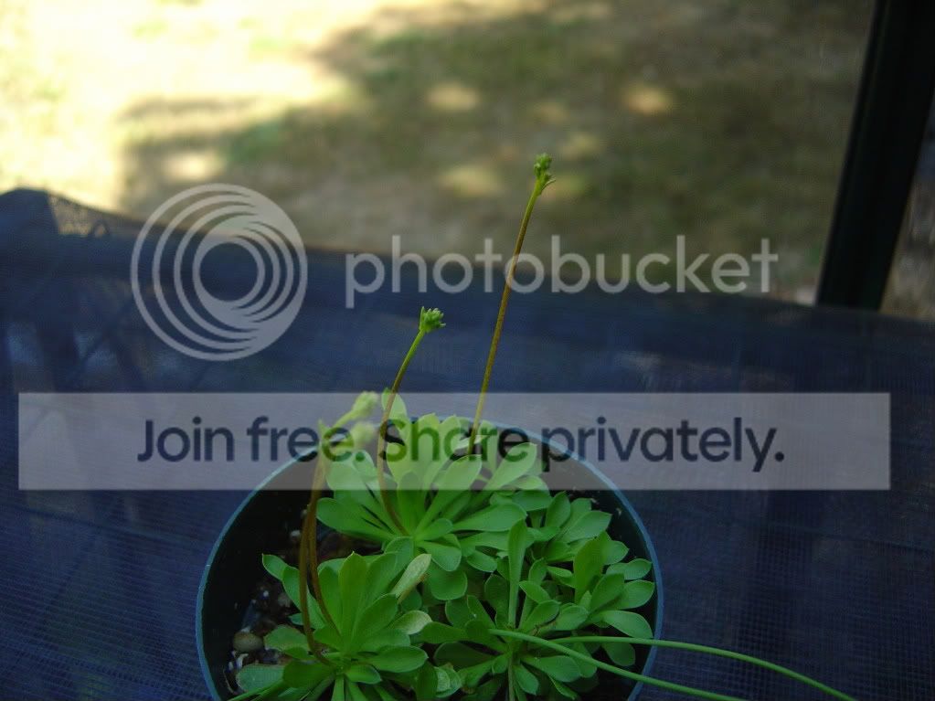ReturnhomeCPs7-21-09015.jpg