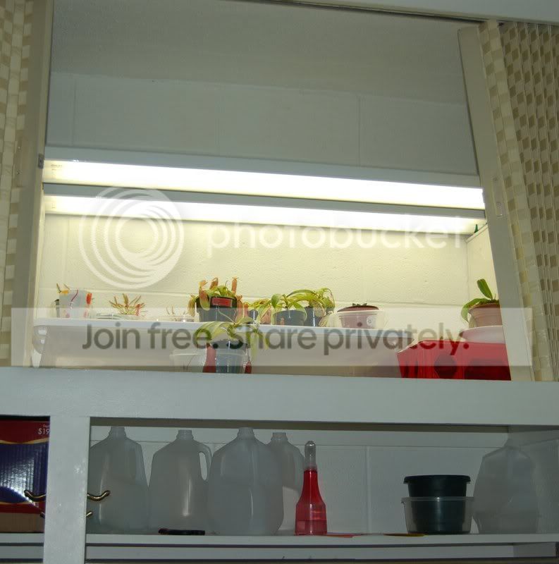 closet3-jan252007.jpg