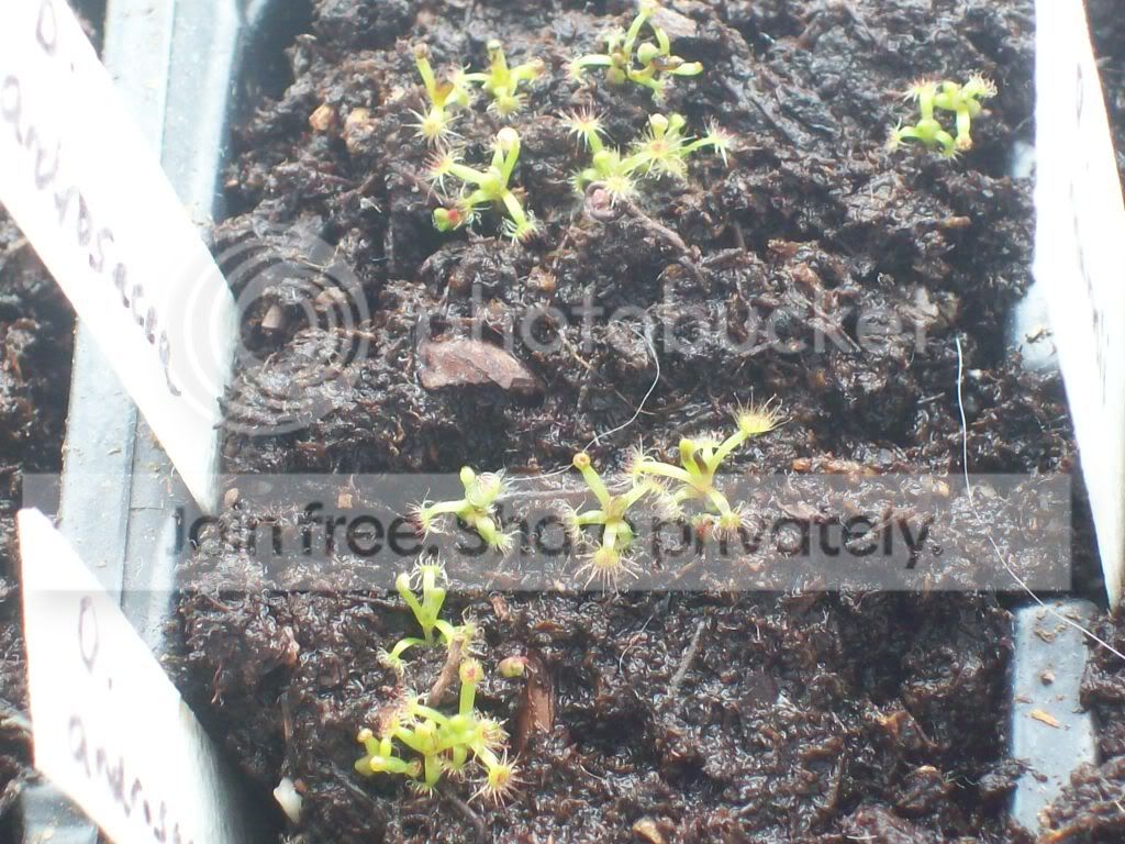 Picture001-8.jpg