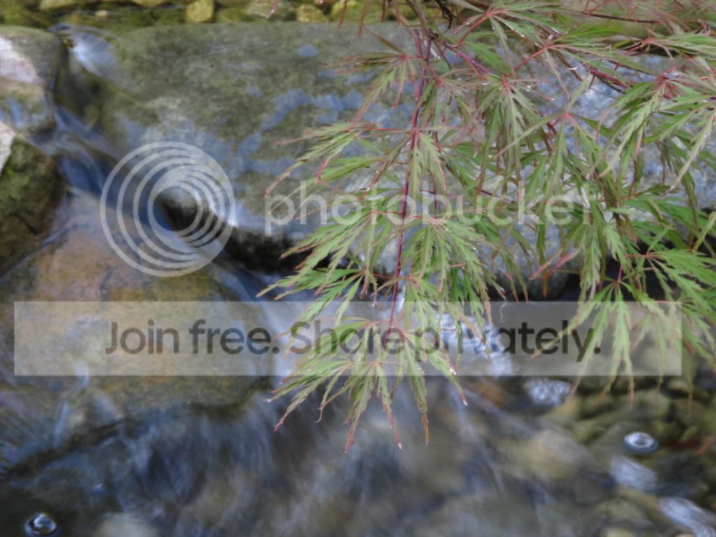 IMG_6449.jpg