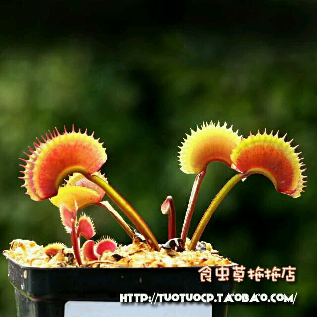 a5e872623f68e490077b65e734793e51.jpg