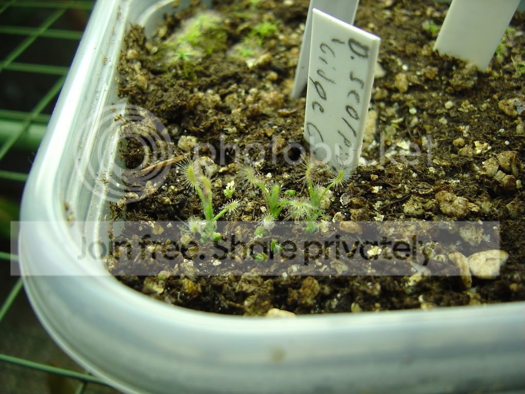 CPs1-4-09007.jpg