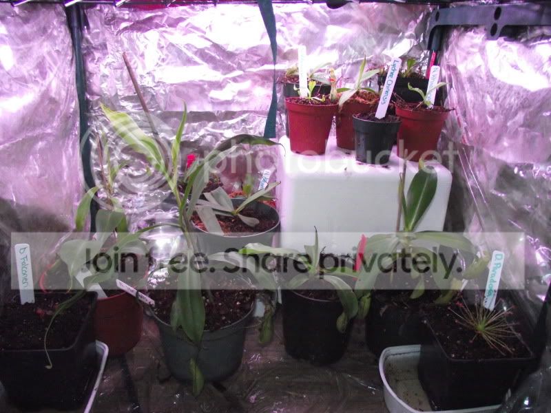 DSCF5889.jpg