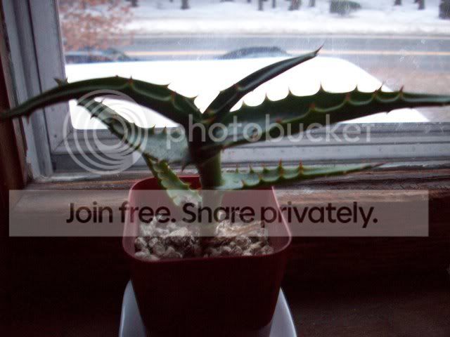 100_00431.jpg