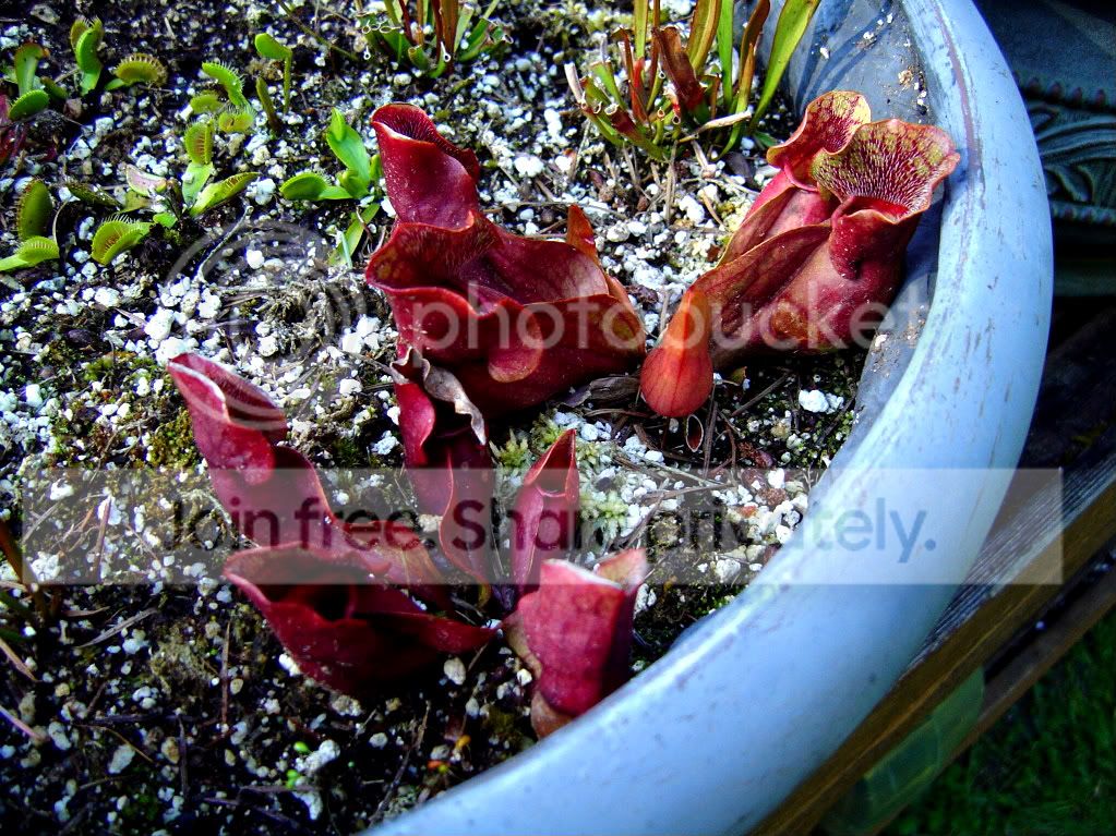 springFINALLY018.jpg