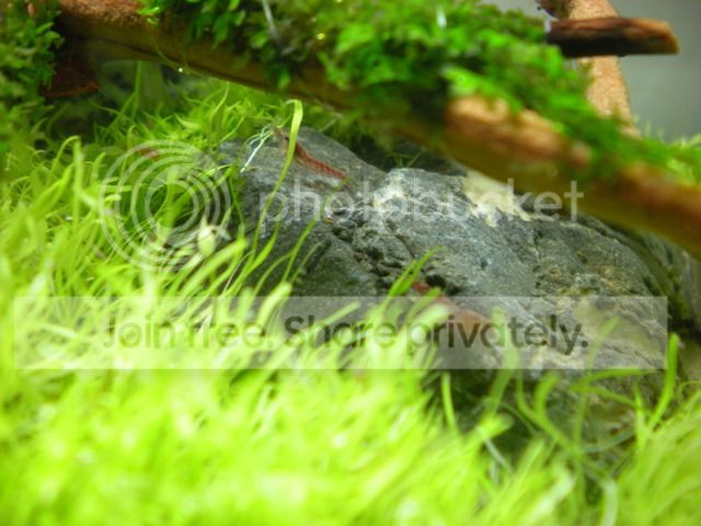 DSCN3660.jpg