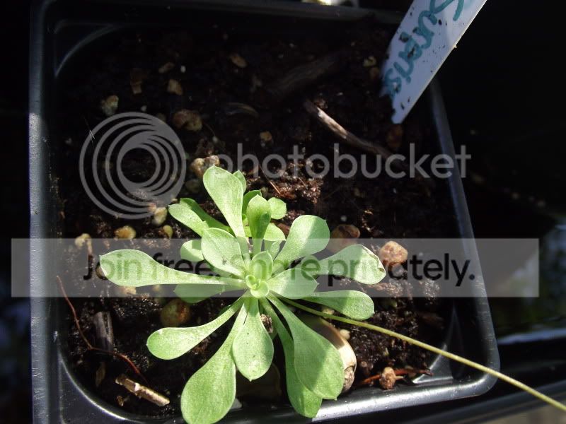 DSCF5920.jpg