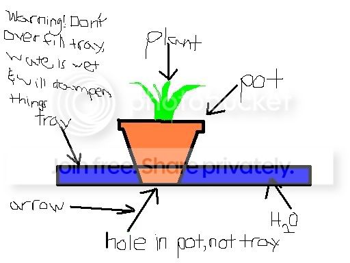 Watertray.jpg