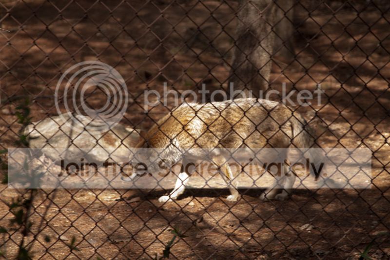 IMG_6479_zpscd649c3e.jpg