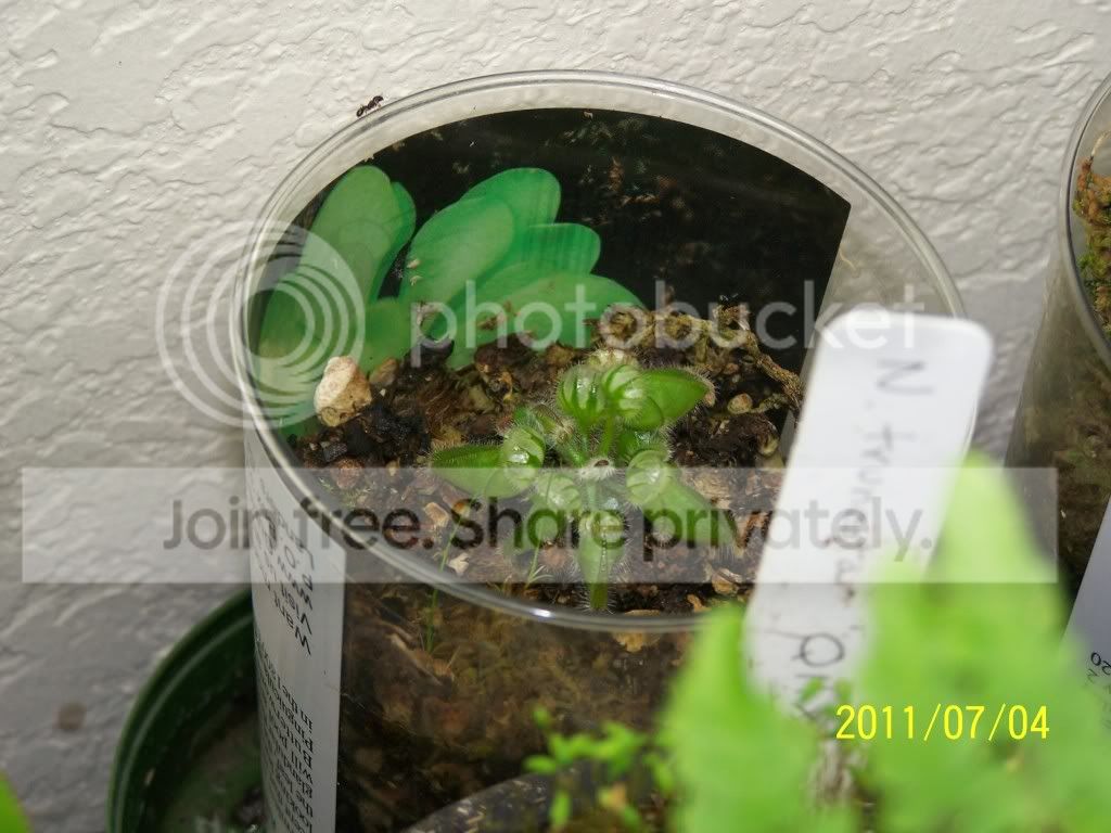 100_4757.jpg