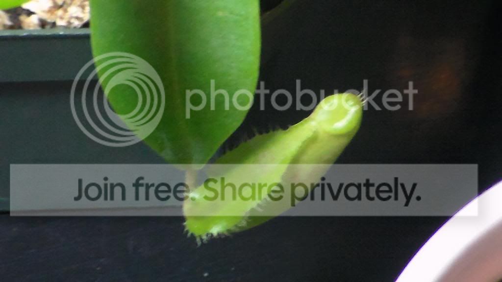 SAM_2496_zps0cd530c2.jpg