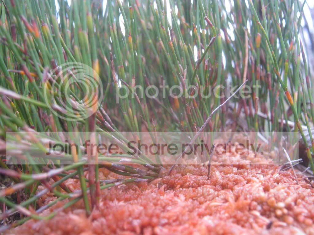 IMG_2634.jpg